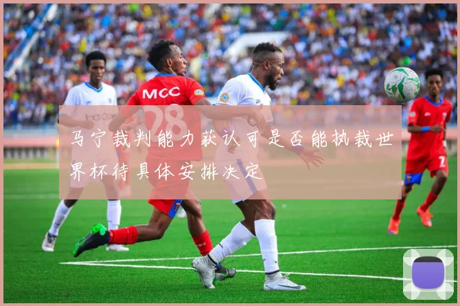 马宁裁判能力获认可是否能执裁世界杯待具体安排决定