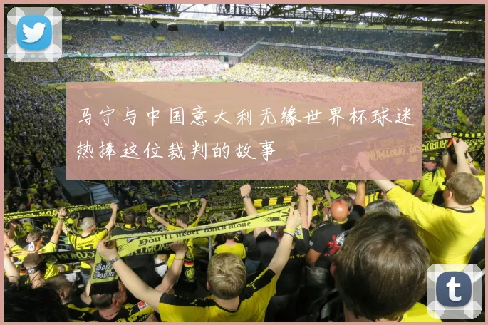 马宁与中国意大利无缘世界杯球迷热捧这位裁判的故事