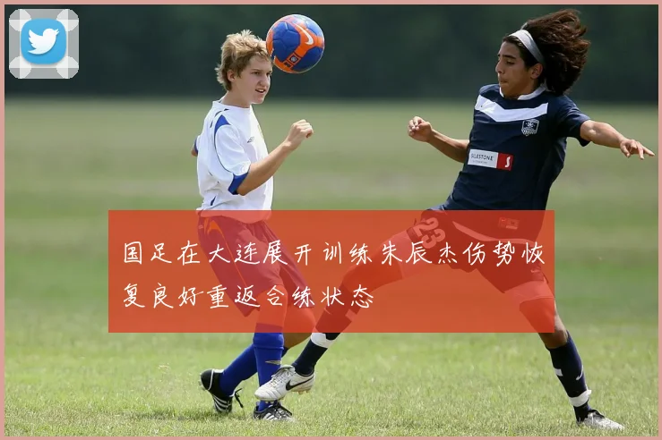 国足在大连展开训练朱辰杰伤势恢复良好重返合练状态
