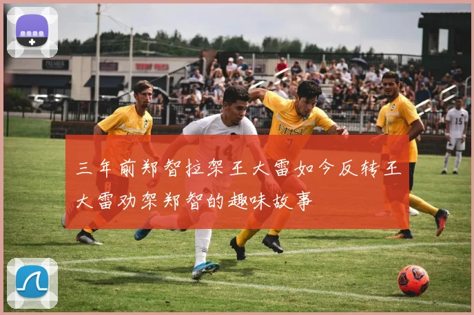 三年前郑智拉架王大雷如今反转王大雷劝架郑智的趣味故事