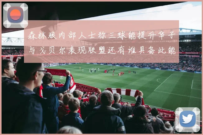 森林狼内部人士称三球能提升华子与戈贝尔表现联盟还有谁具备此能力
